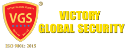 logo vgs